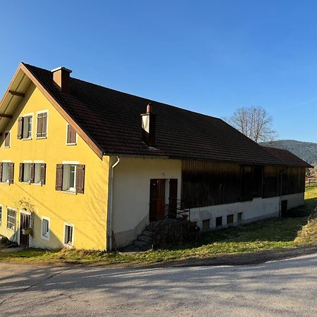Chalet Cosy Lisiere De Foret Xonrupt-Longemer Exterior photo