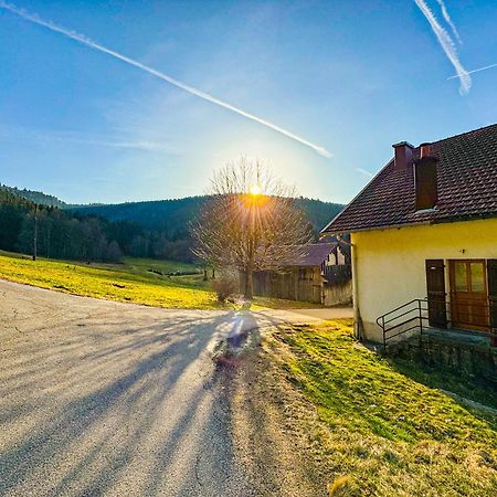 Chalet Cosy Lisiere De Foret Xonrupt-Longemer Exterior photo