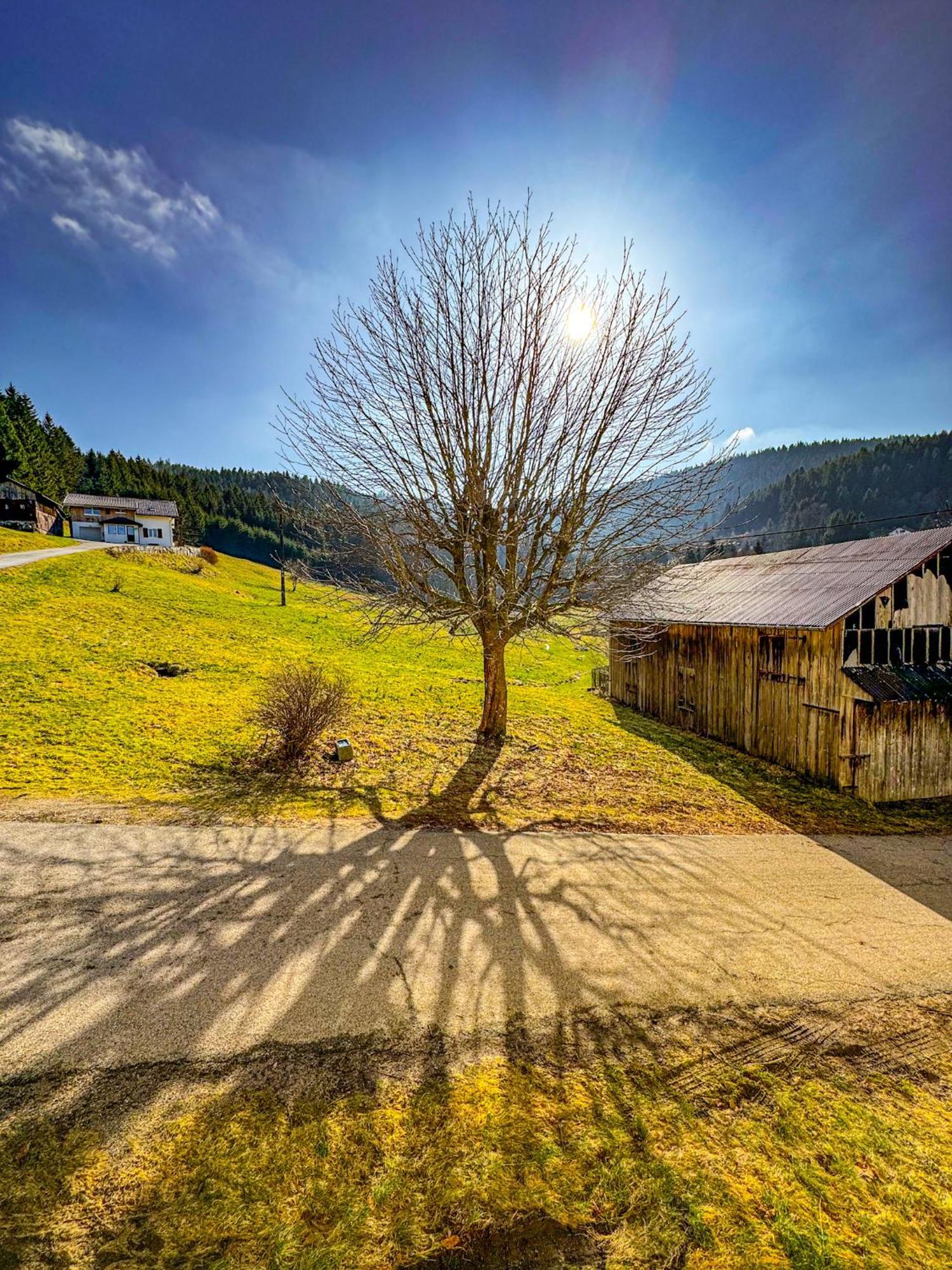 Chalet Cosy Lisiere De Foret Xonrupt-Longemer Exterior photo