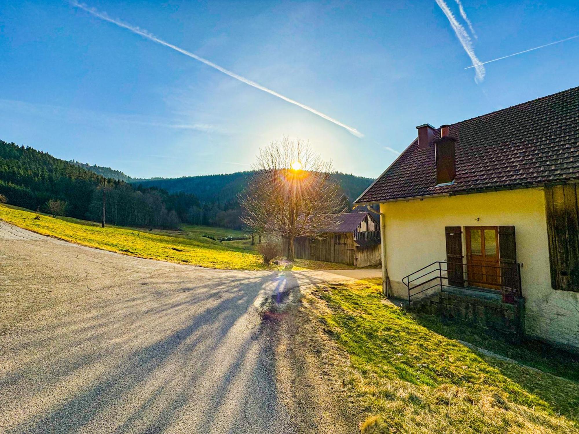 Chalet Cosy Lisiere De Foret Xonrupt-Longemer Exterior photo