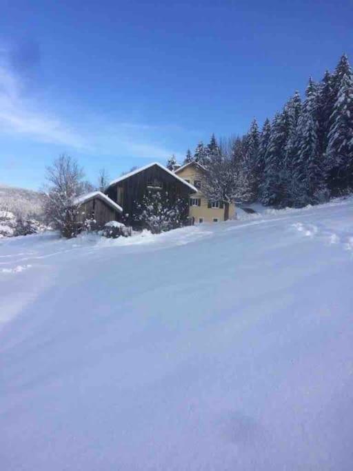 Chalet Cosy Lisiere De Foret Xonrupt-Longemer Exterior photo
